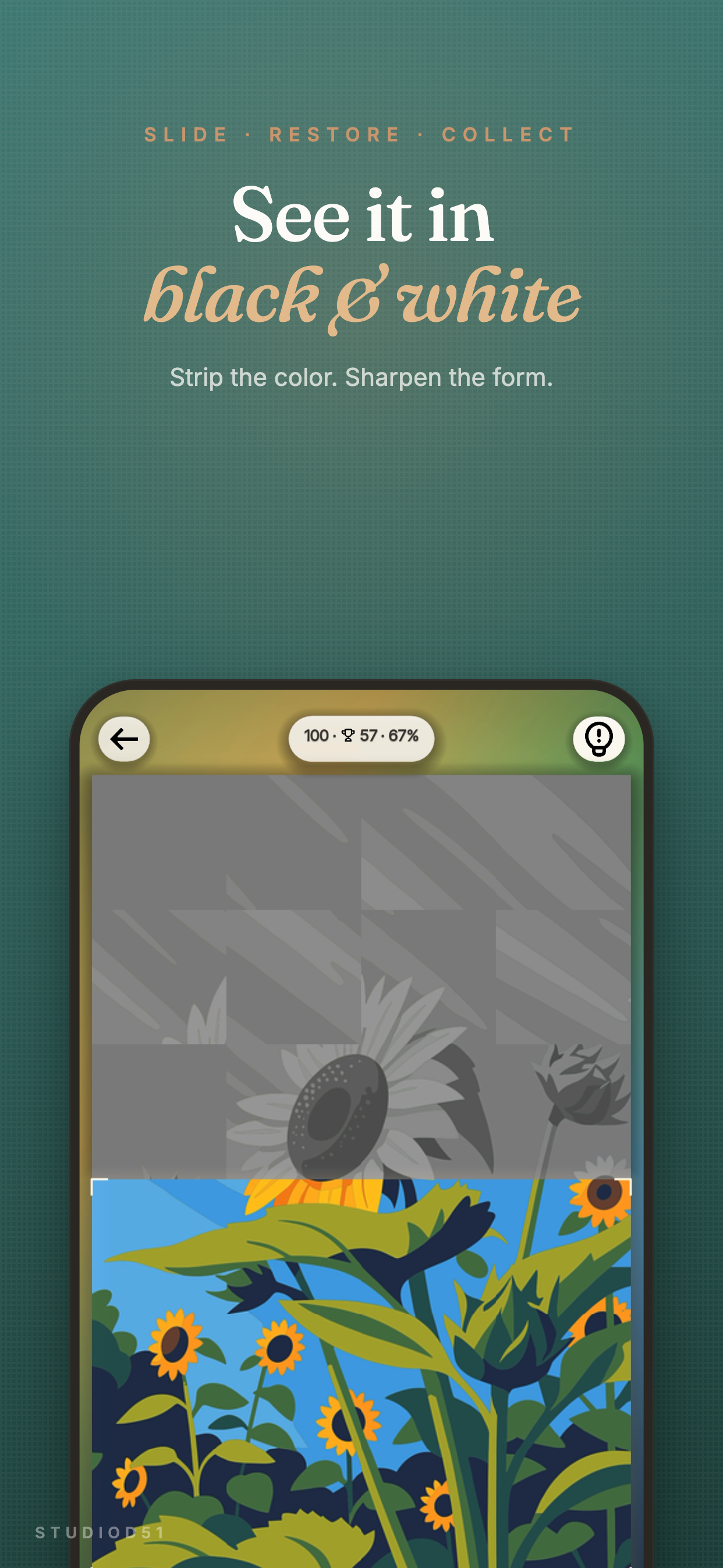 Mono modifier — grayscale blooming into color